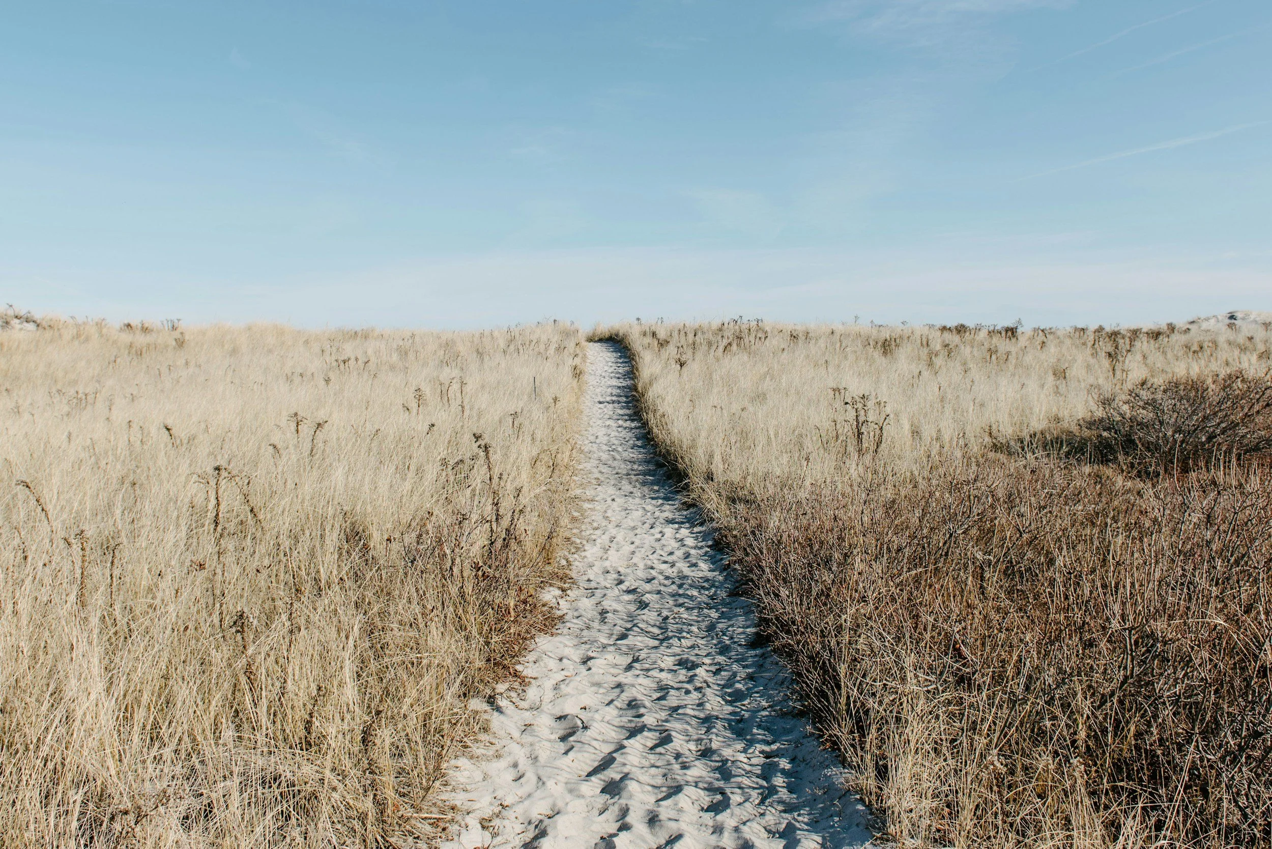 A quiet sandy path winding through coastal grasses beneath an open blue sky